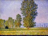 Meadow at Limetz